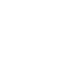 Snow Flat